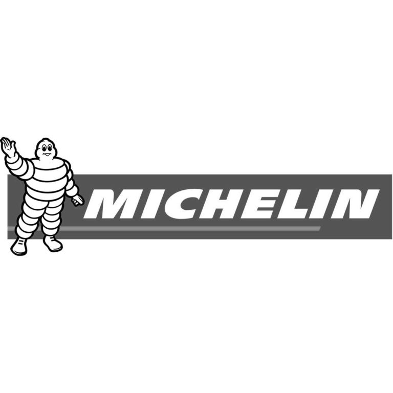 Michelin Logo